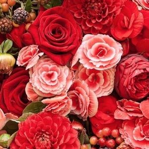 Meet your Posher, Taylor